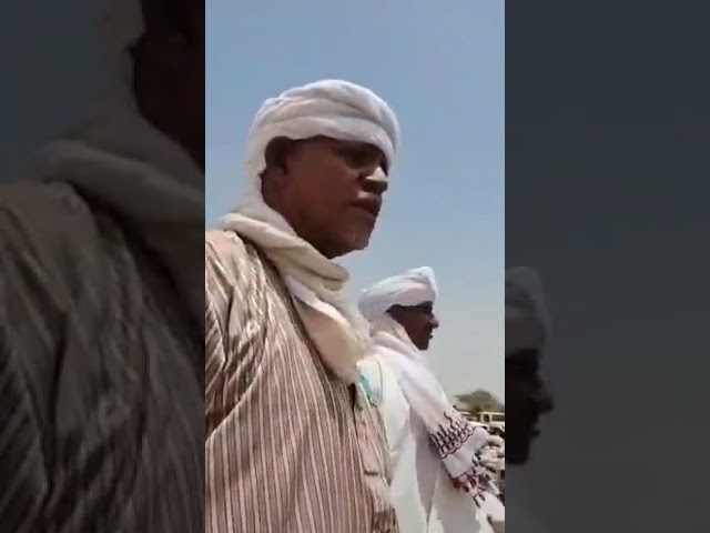 موسى هلال يعلن دعمه للجيش السوداني ويطالب بوقف الحرب