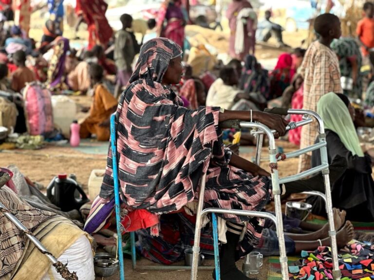 منسقة الأمم المتحدة بالسودان تناشد: أوقفوا الحرب نريد الوصول إلى الفاشر