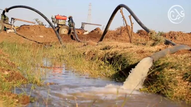 “ثلاثة مواسم بلا حصاد”: الزراعة في الجزيرة تنهار… والمزارعون يطلقون نداء استغاثة