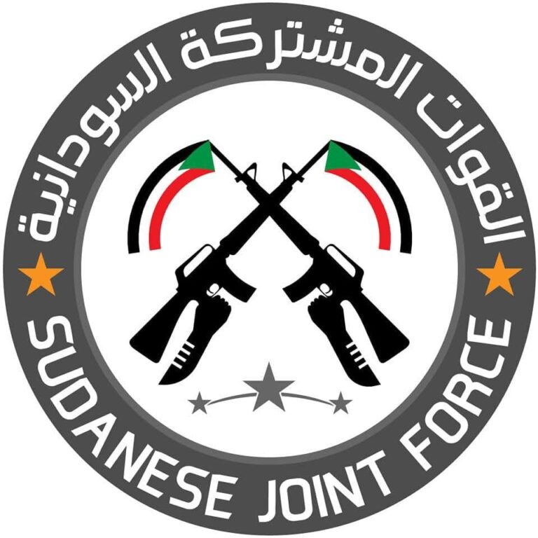 القوات المشتركة تعلن مقتل 300 من عناصر الدعم السريع أثناء استعادة السيطرة على أم صميمة