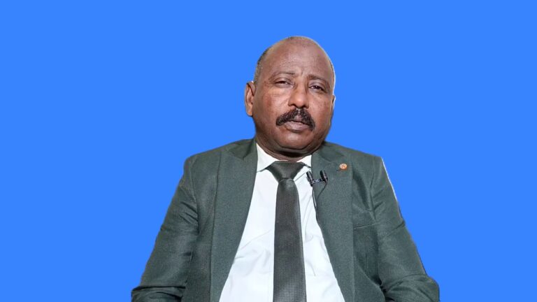 العدل السودانية تطالب بإنهاء عمل بعثة تقصي الحقائق في السودان