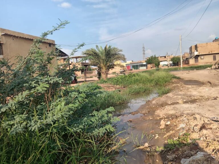 الحميات تفتك بالخرطوم وسط تدهور بيئي وانتشار كثيف للبعوض