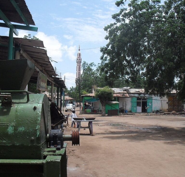 وفاة 23 طفلًا خلال شهر في الدلنج وكادوقلي جراء سوء التغذية