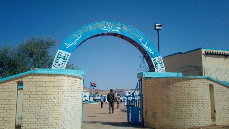 وصول 17 شاحنة محملة بالمساعدات الإنسانية إلى محلية مليط بشمال دارفور