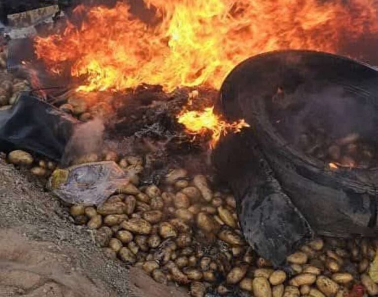 إبادة شحنة خضروات في وادي حلفا رغم صلاحيتها للاستهلاك