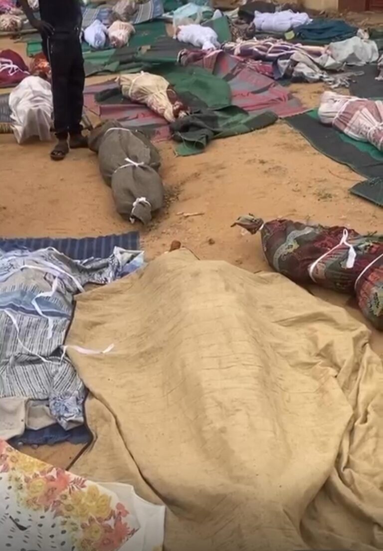 القوة المشتركة تتهم الدعم السريع بجرائم حرب وبقتل ألفي شخص في الفاشر