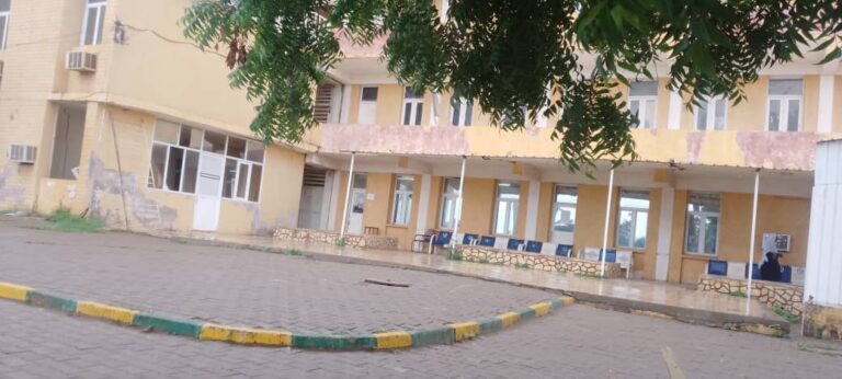 تفشي حمى الضنك في ولاية الجزيرة وسط ضعف الرعاية الصحية الأولية