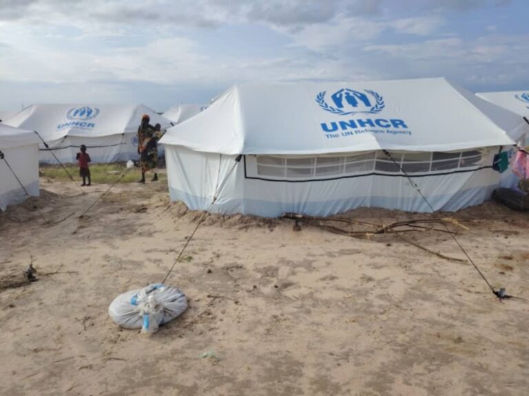 النيل الأبيض: بين النزوح والعمل الشاق.. عائلات تحاول أن تجد سبل البقاء