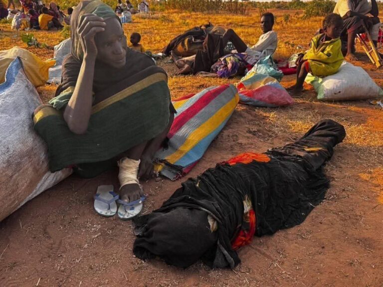 “الجوع يقتلنا”.. الفاشر المحاصرة.. من أكل علف الحيوانات إلى التهام جلودها