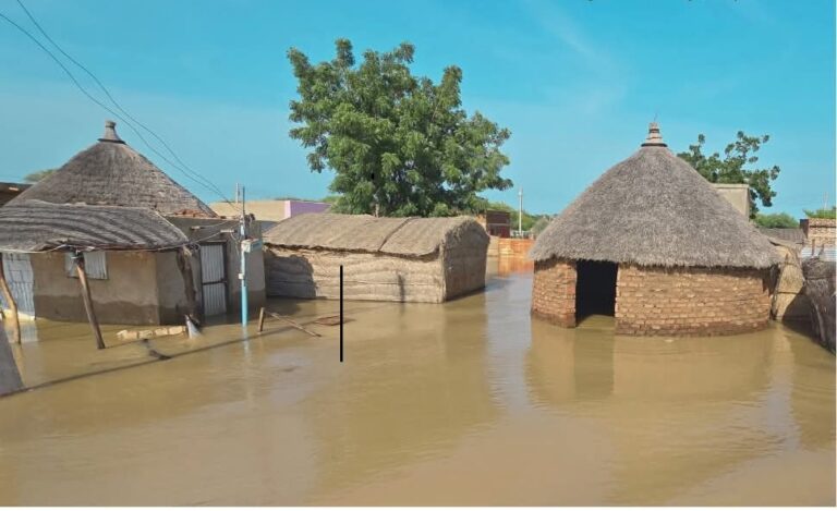 نزوح مئات الأسر في القضارف وتفاقم الأوضاع الإنسانية جراء الفيضانات