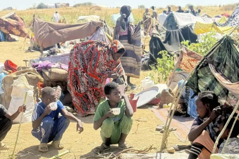 تقارير تتحدث عن حرق جثث على طريق الفاشر – طويلة