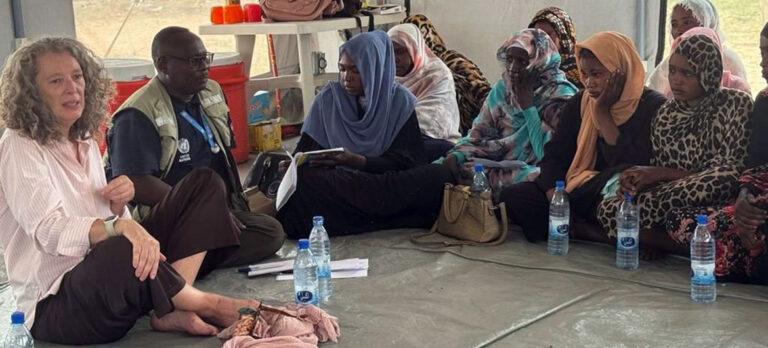 حكومة شمال دارفور والمقاومة الشعبية تنتقدان زيارة مسؤولة أممية للفاشر وتصفانها بالمتأخرة والمقيّدة