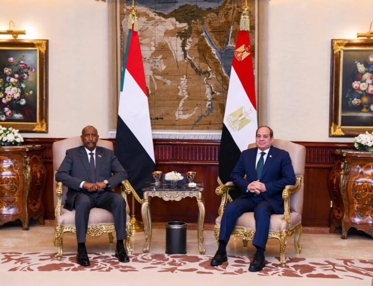 الموقف المصري تجاه الأزمة السودانية مناورة سياسية أم استعداد لتدخل عسكري؟