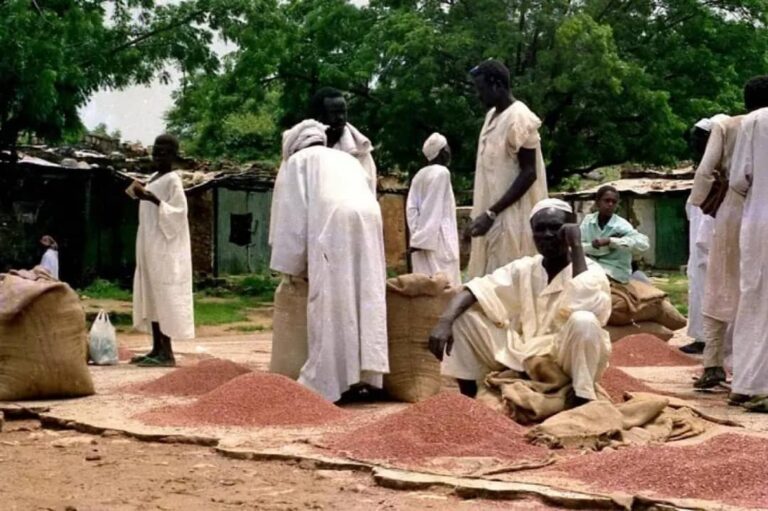 منع مرور السلع والبضائع لغرب السودان: حرب أخرى من الخرطوم على المواطن  وتهديد لوحدة  البلاد