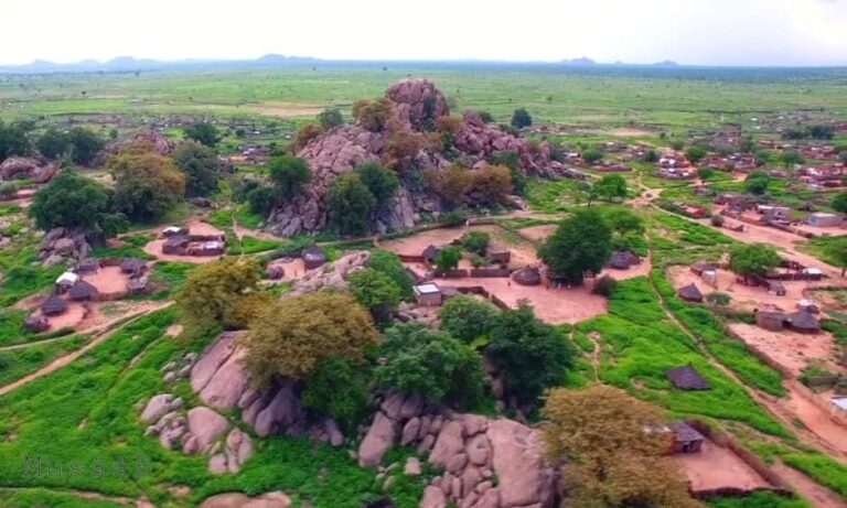 مقتل 14 مدنياً بينهم أطفال ونساء في قصف على الدلنج بجنوب كردفان