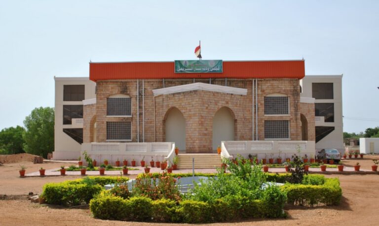 قتلى في هجوم بطائرة مُسيّرة على سنجة وسط تضارب في أعداد الضحايا